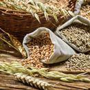 Nutrition Experts Get to the Truth About Whole Grains and Diet