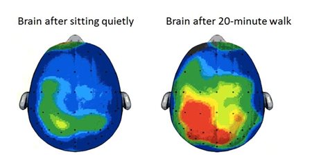 Kid's brain scan sitting and after a 20 minute walk